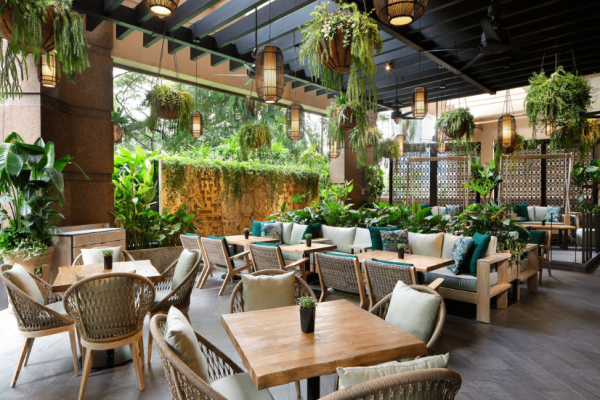 Cafe dengan teras yang dikelilingi oleh tumbuhan sukulen